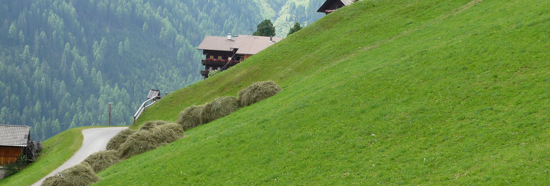 [Translate to Englisch:] Heuballen, Futter im Winter
